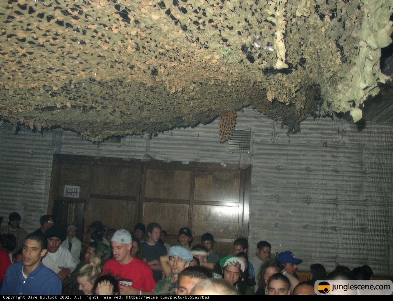 Bug Infestation at a Rock Concert
