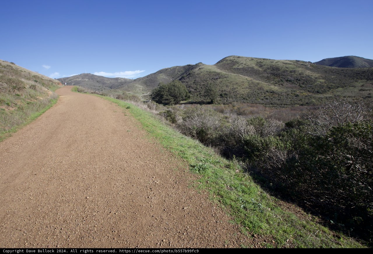 The Untamed Wilderness of Marin Headlands Hill 88