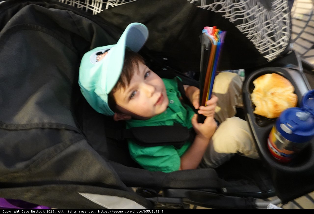 Young Explorer's Snack Break