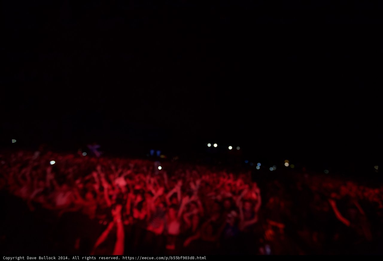 Hands in the Air at Coachella
