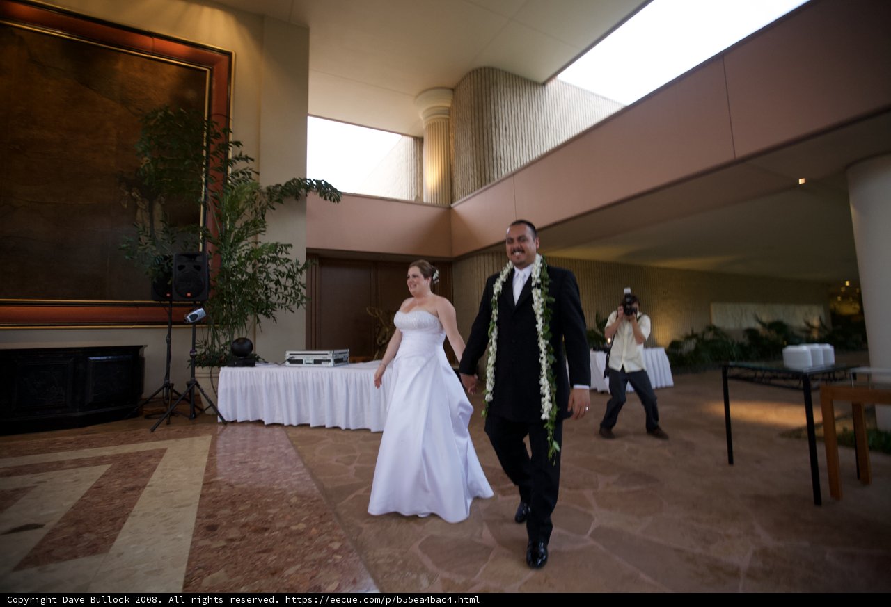 The Newlyweds' Grand Entrance