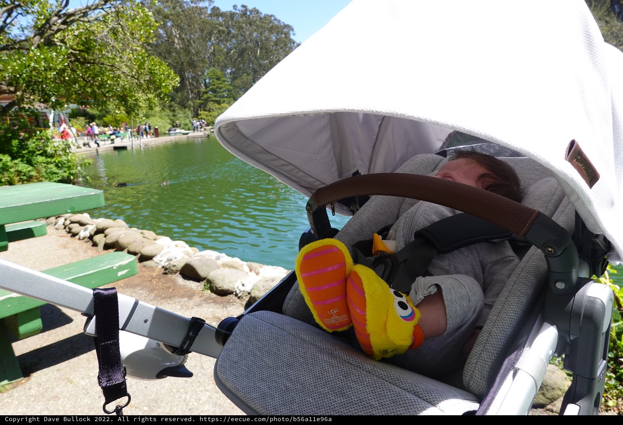 Baby Sleeping Peacefully in Park Stroller