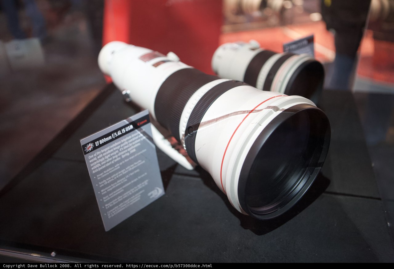 Shake it Up with the Canon EOS RL-E 70-200mm