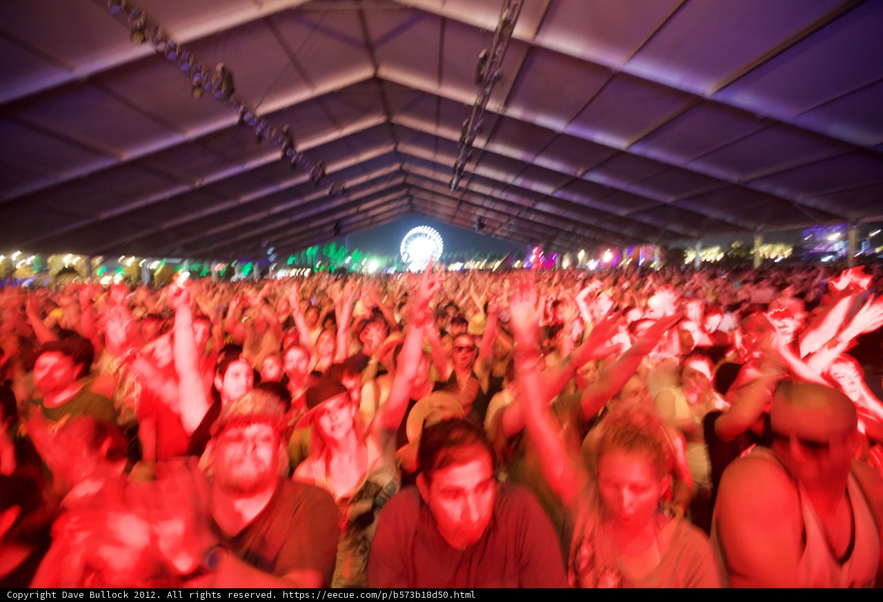 Festival Fever