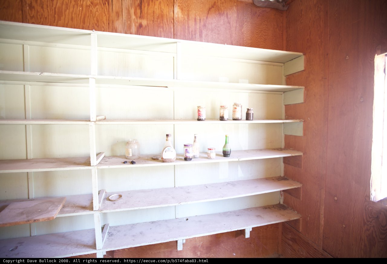 Shelf with a Desert's Treasures