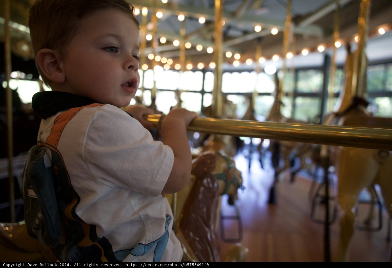 Captivated on the Carousel