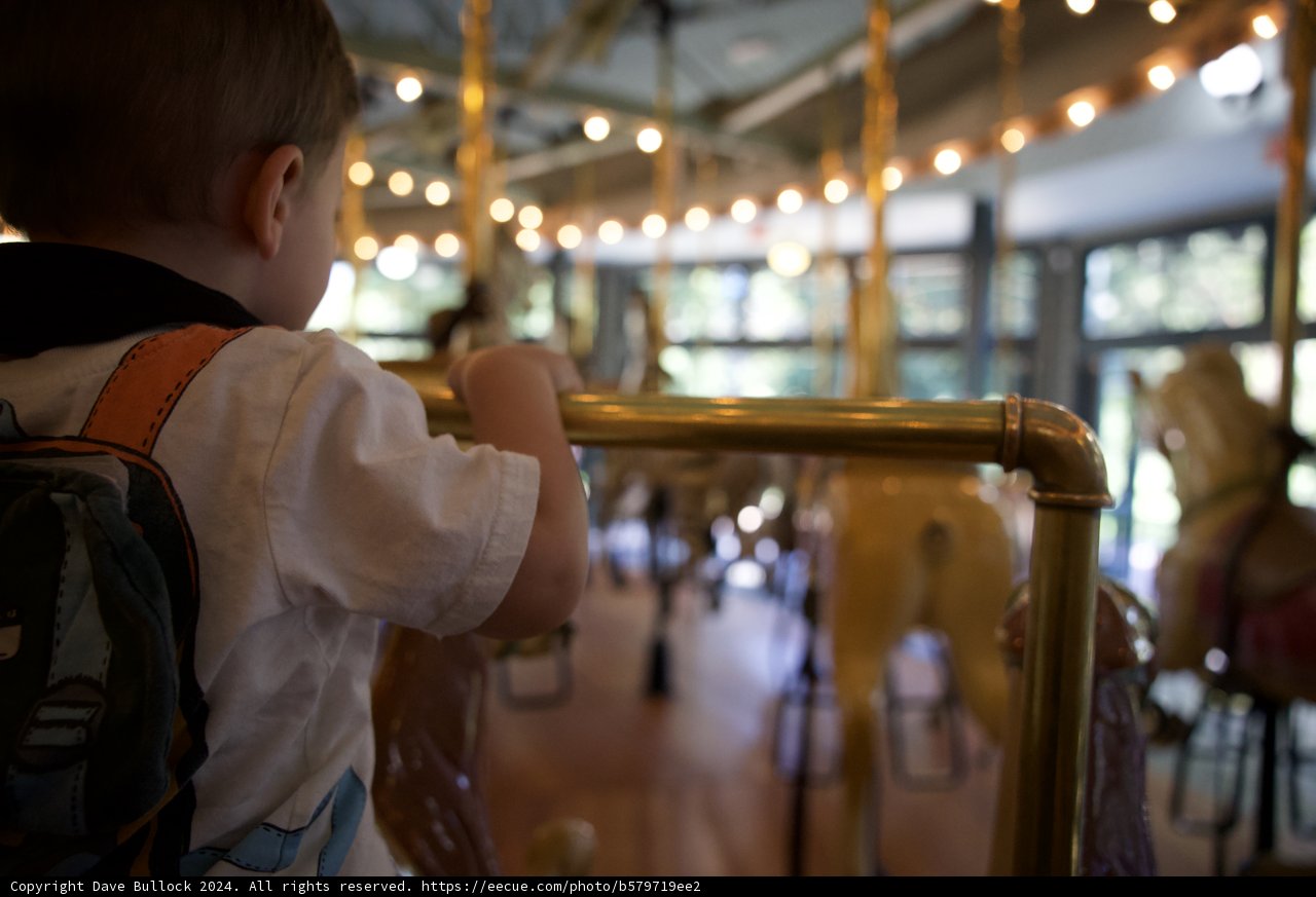 Childhood Wonder on the Carousel