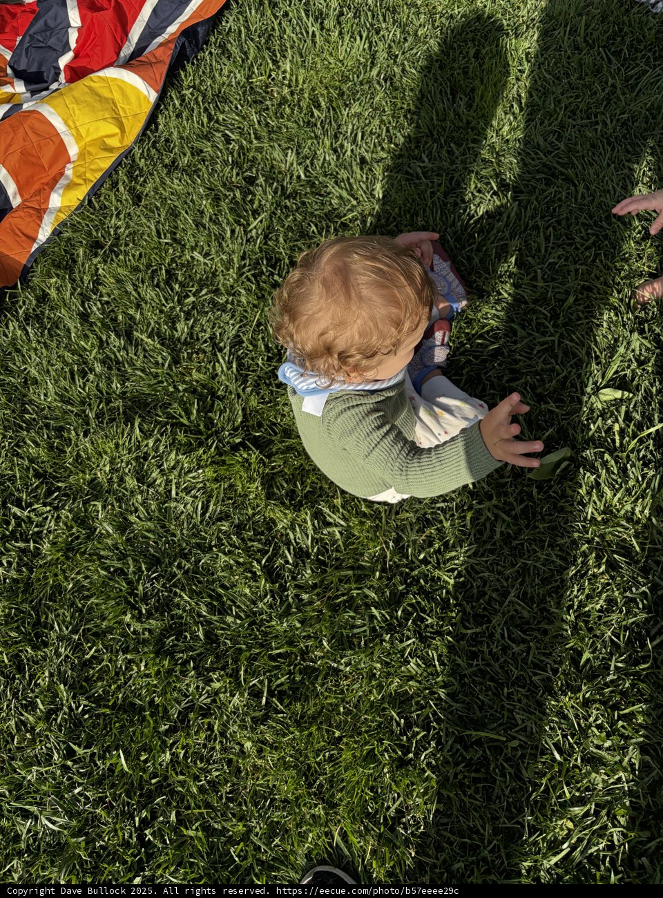 Little Explorers in the Garden