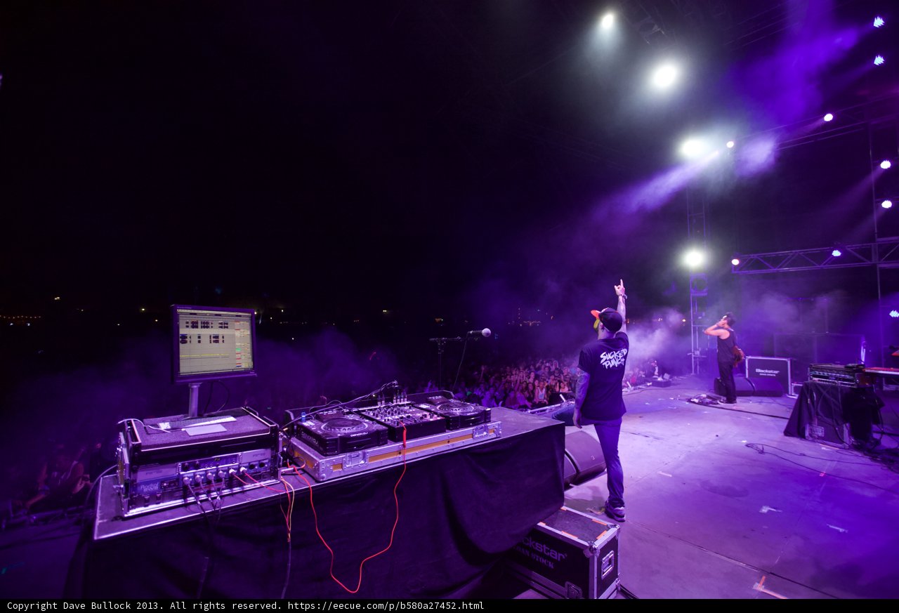 Crowd Goes Wild for DJ's Performance at Coachella