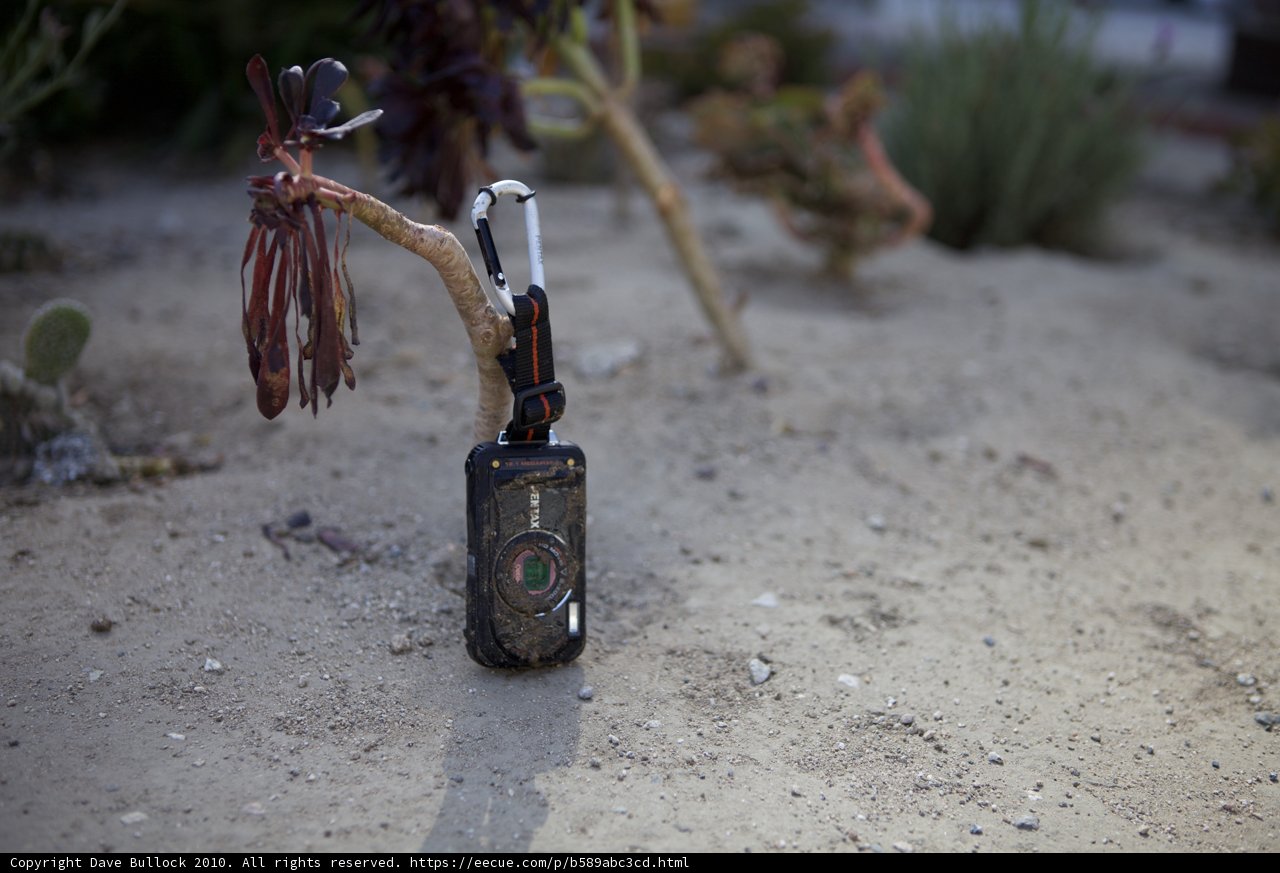 Cell Phone Key Chain with a Plant Design