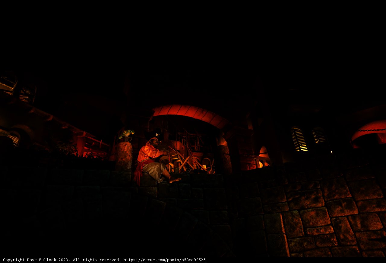 Enchanting Nighttime Encounter at Disneyland