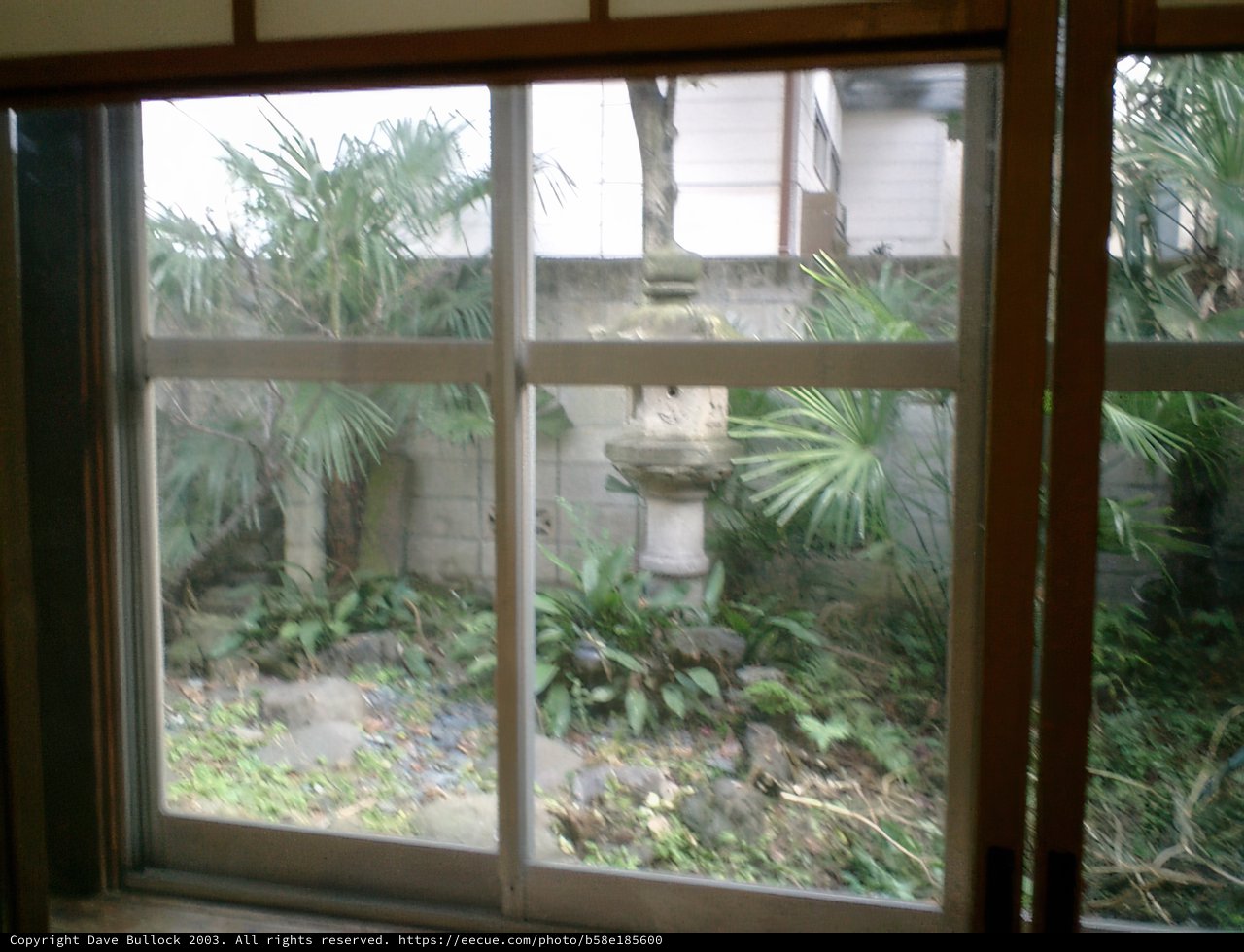 Garden View from Picture Window