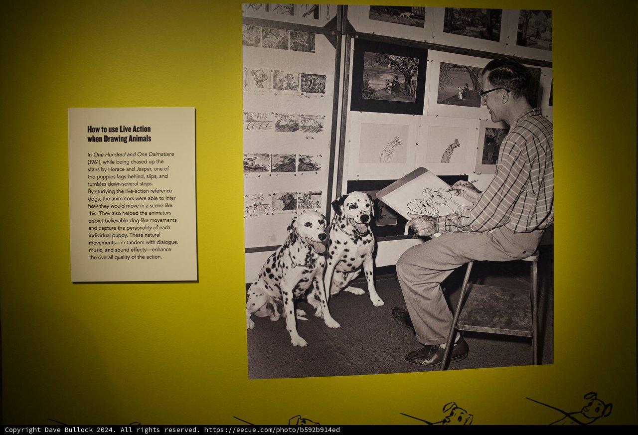 Companionship Defined - Man and Dogs