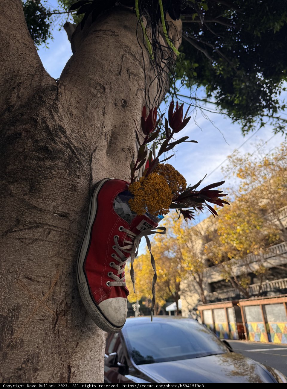 Floral Footwear Finesse by the Road