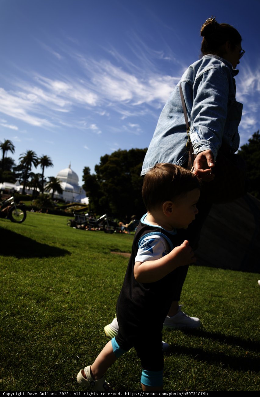 Unforgettable Summer Day at the Golden Gate Park Carousel