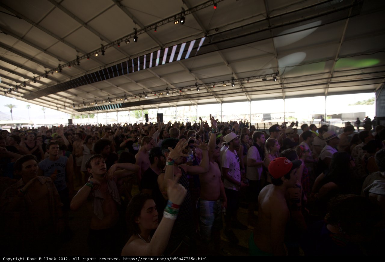 Backs and Heads in the Coachella Crowd