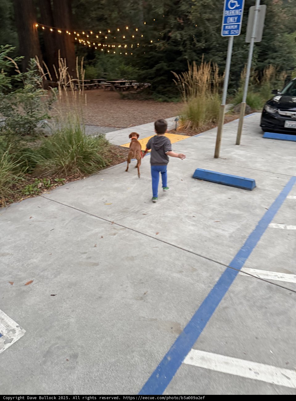 Evening Adventure in Guerneville