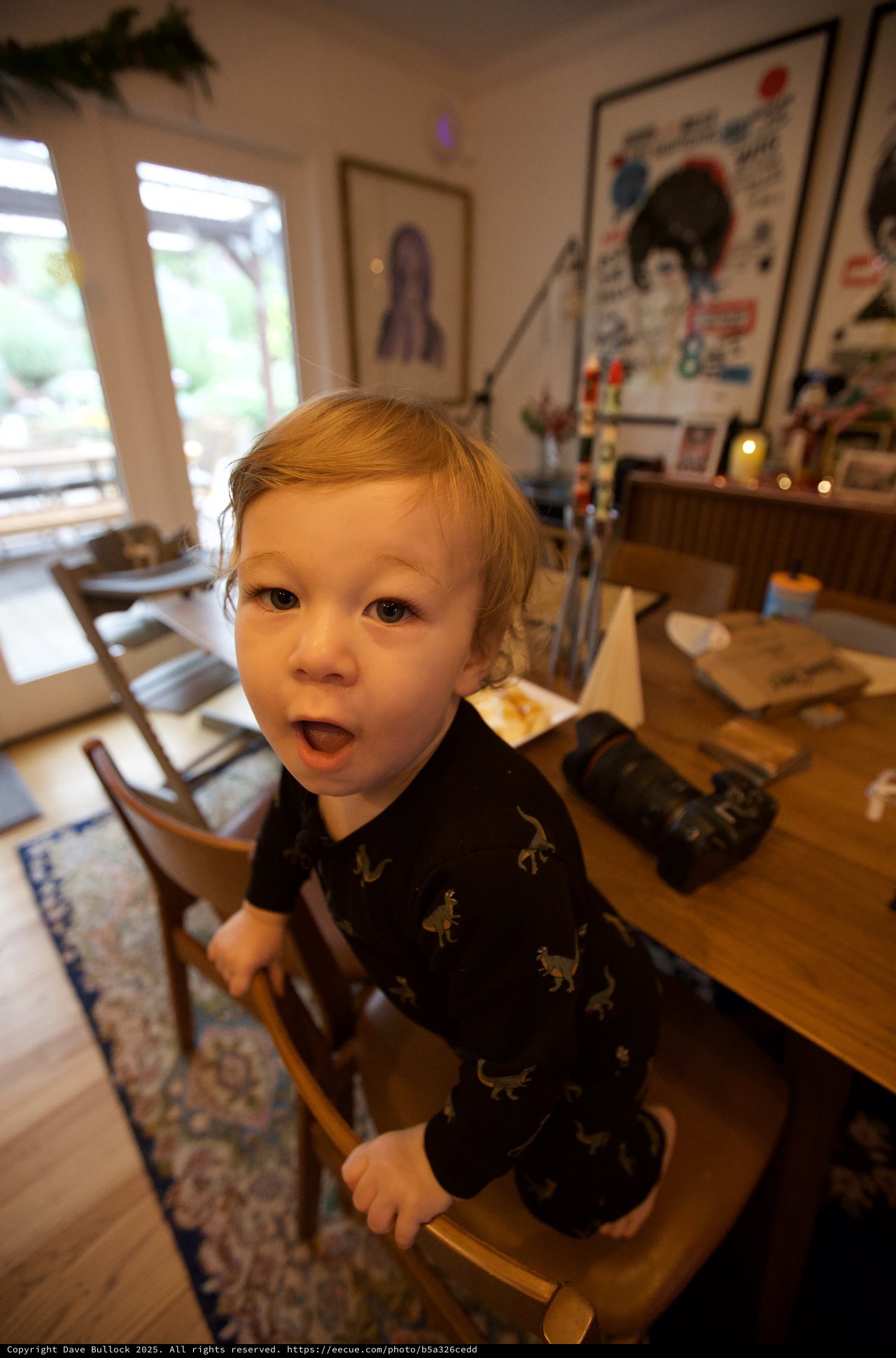 Toddler in Dinosaur Pajamas on Christmas Evening