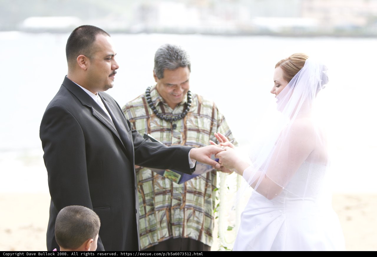 Beach Wedding Exchange