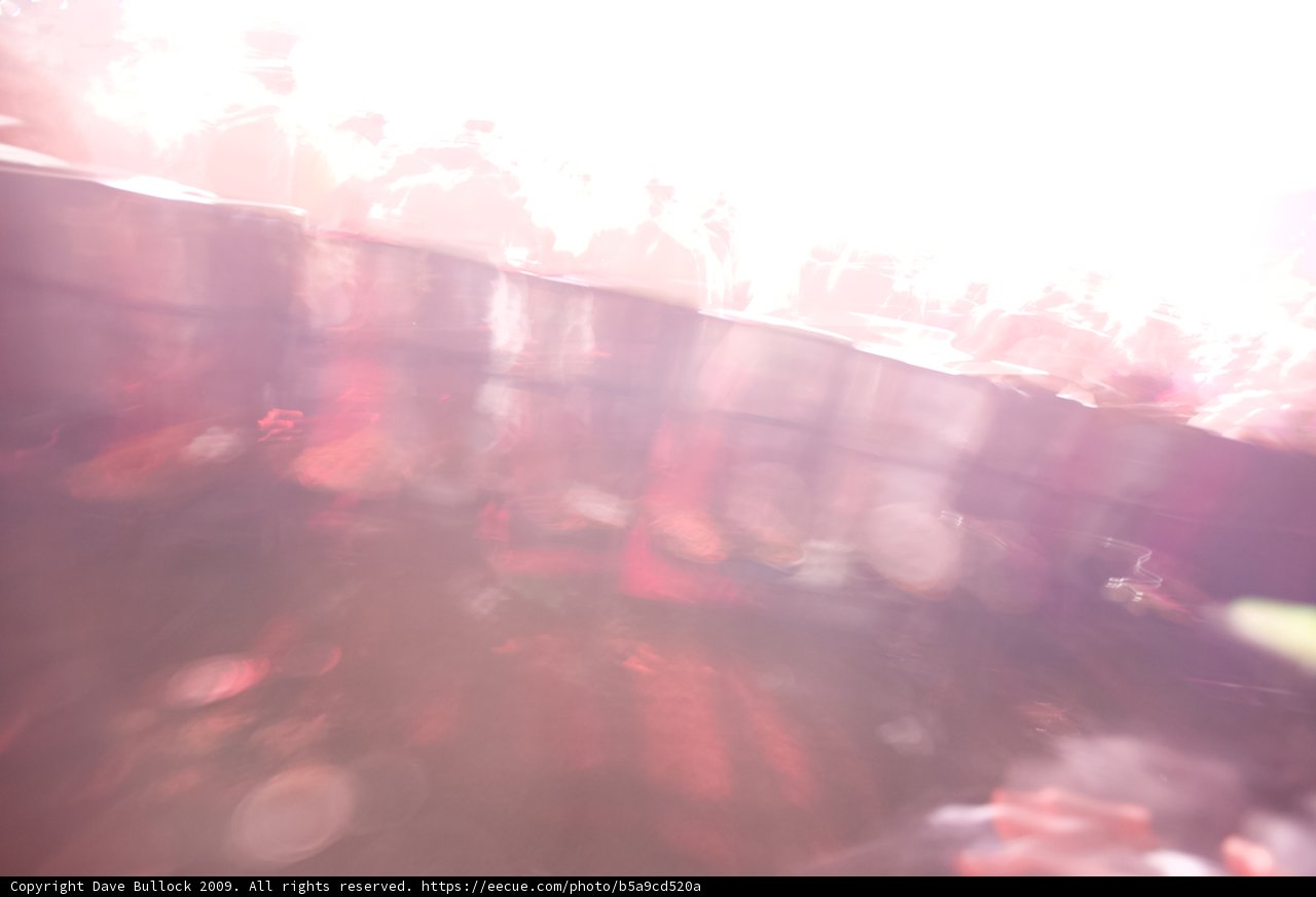 Blurry Coachella Crowd