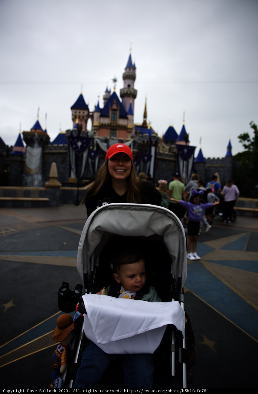Magical Moments at Disneyland