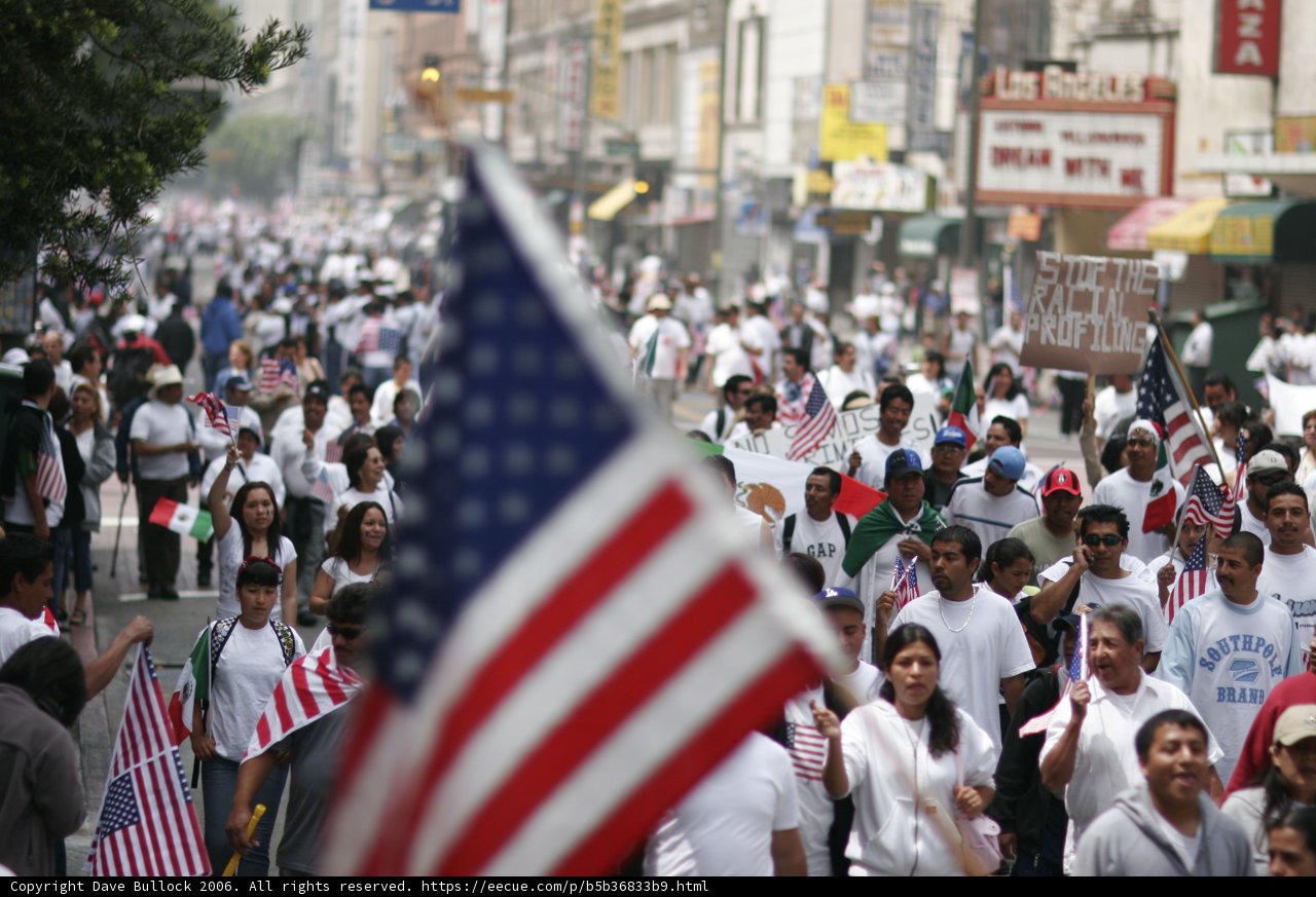 Patriotic Crowd in the City