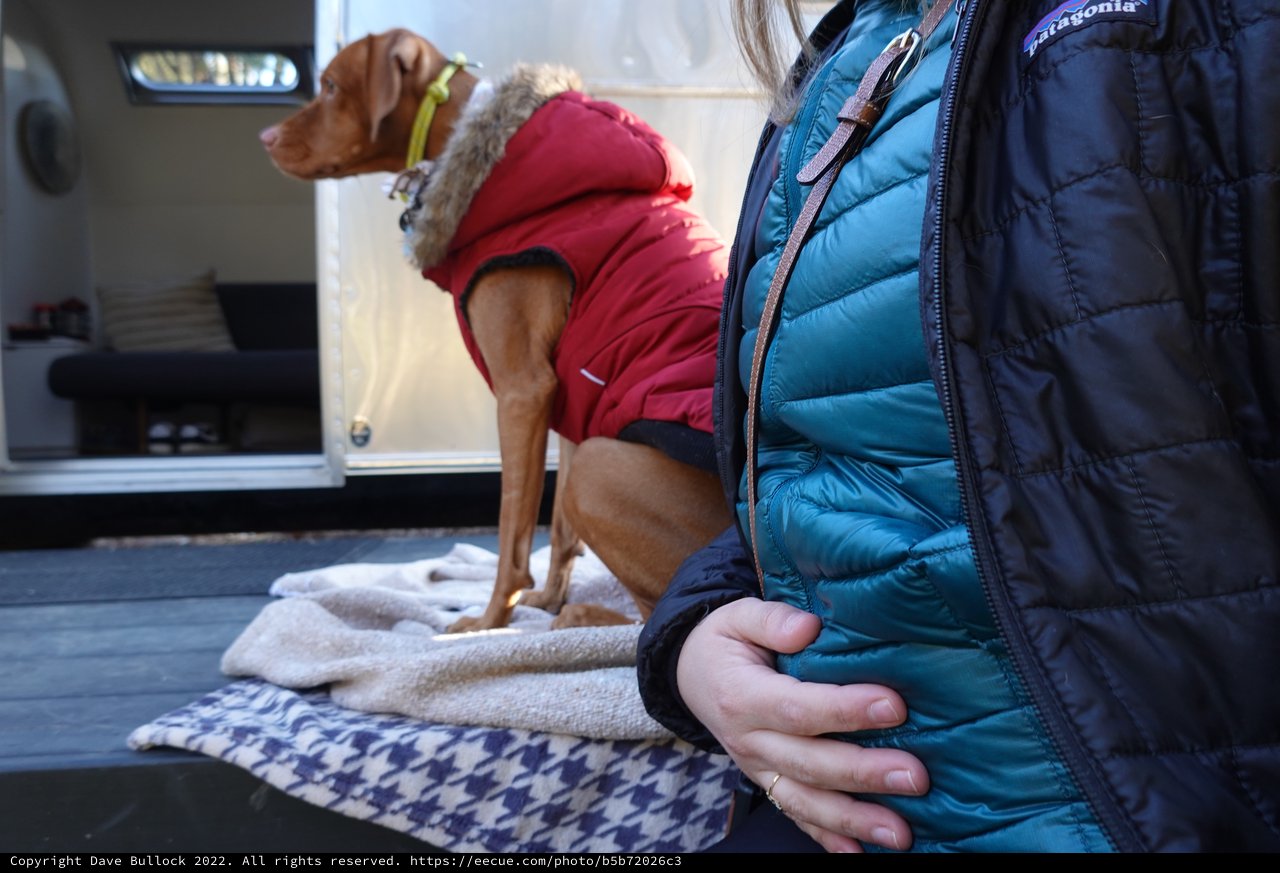 Winter RV Adventure with Bundled Companions