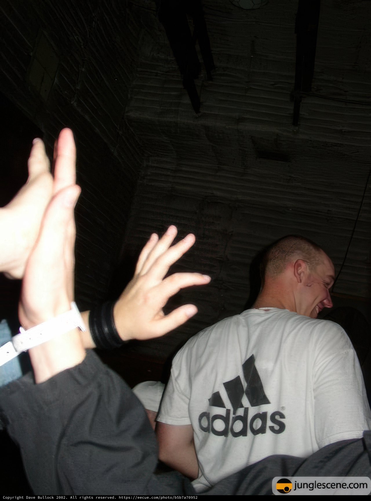 Hands in the Air