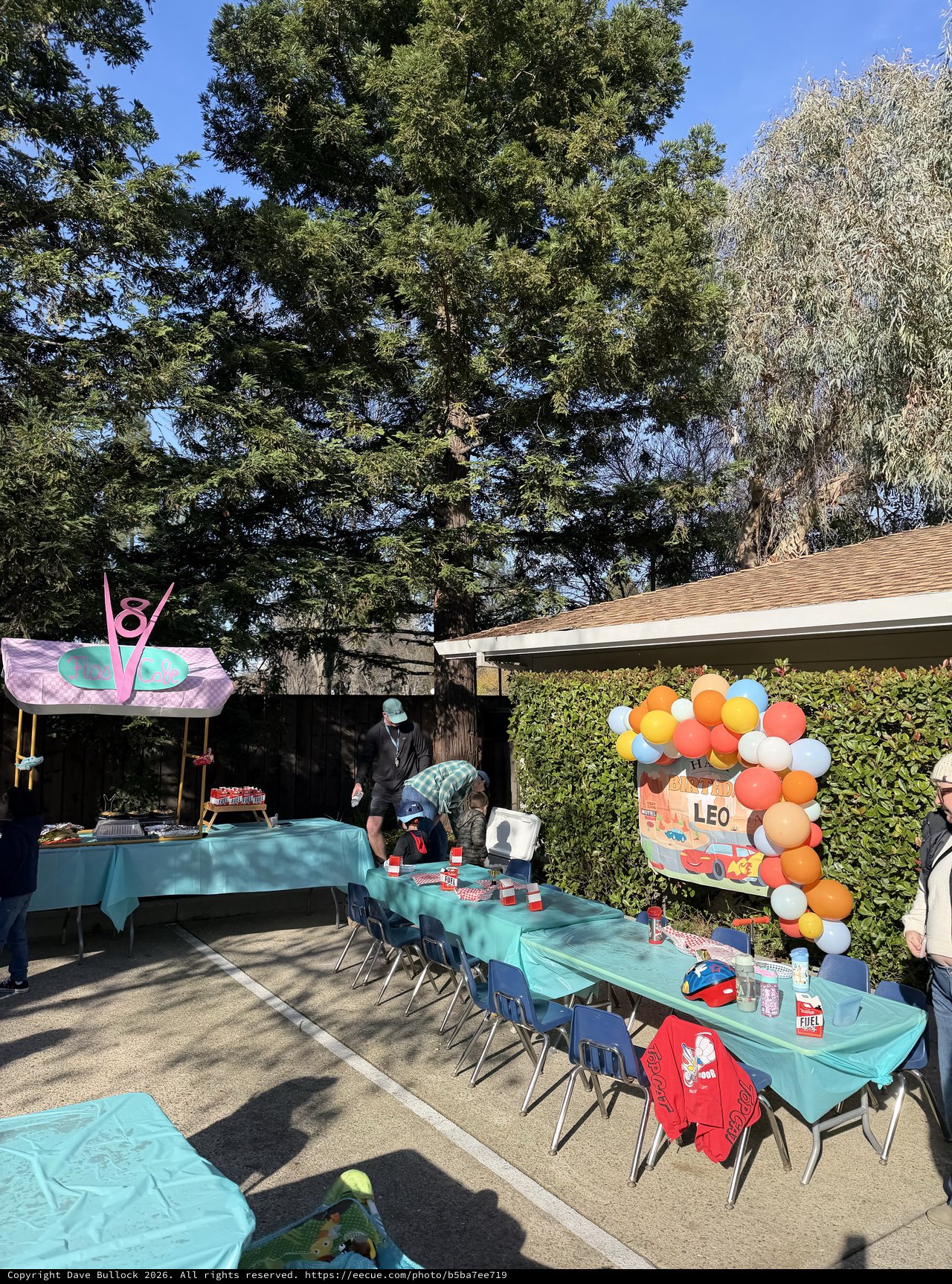Colorful Outdoor Birthday Party Setup for Leo