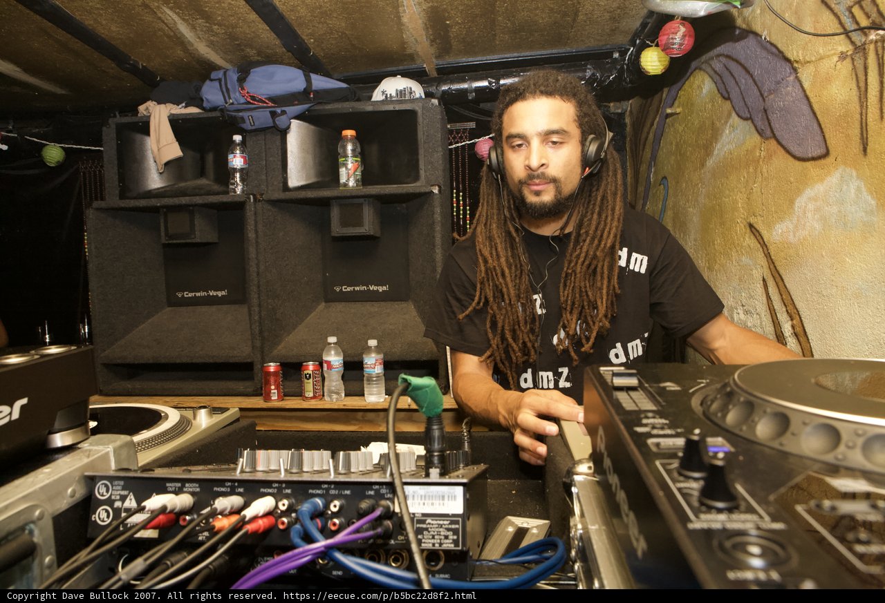 Dreadlocked Deejay in Action