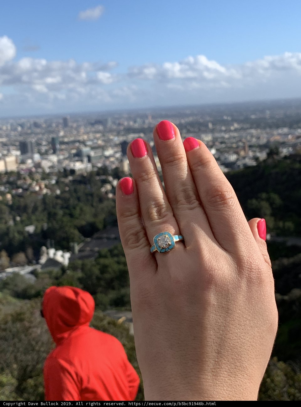 City View Diamond Ring