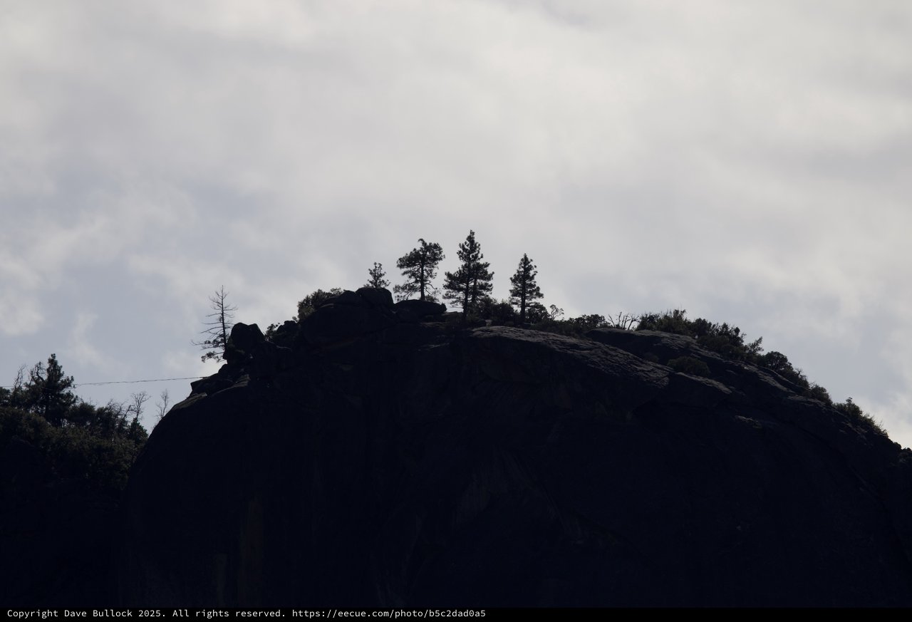 Silhouetted Rocky Summit with Pine Trees at Dusk