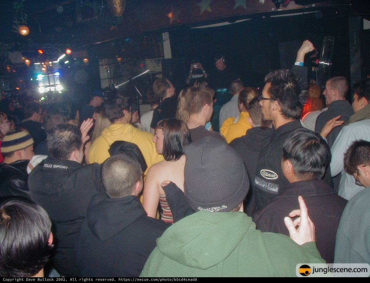 Nightclub Fun