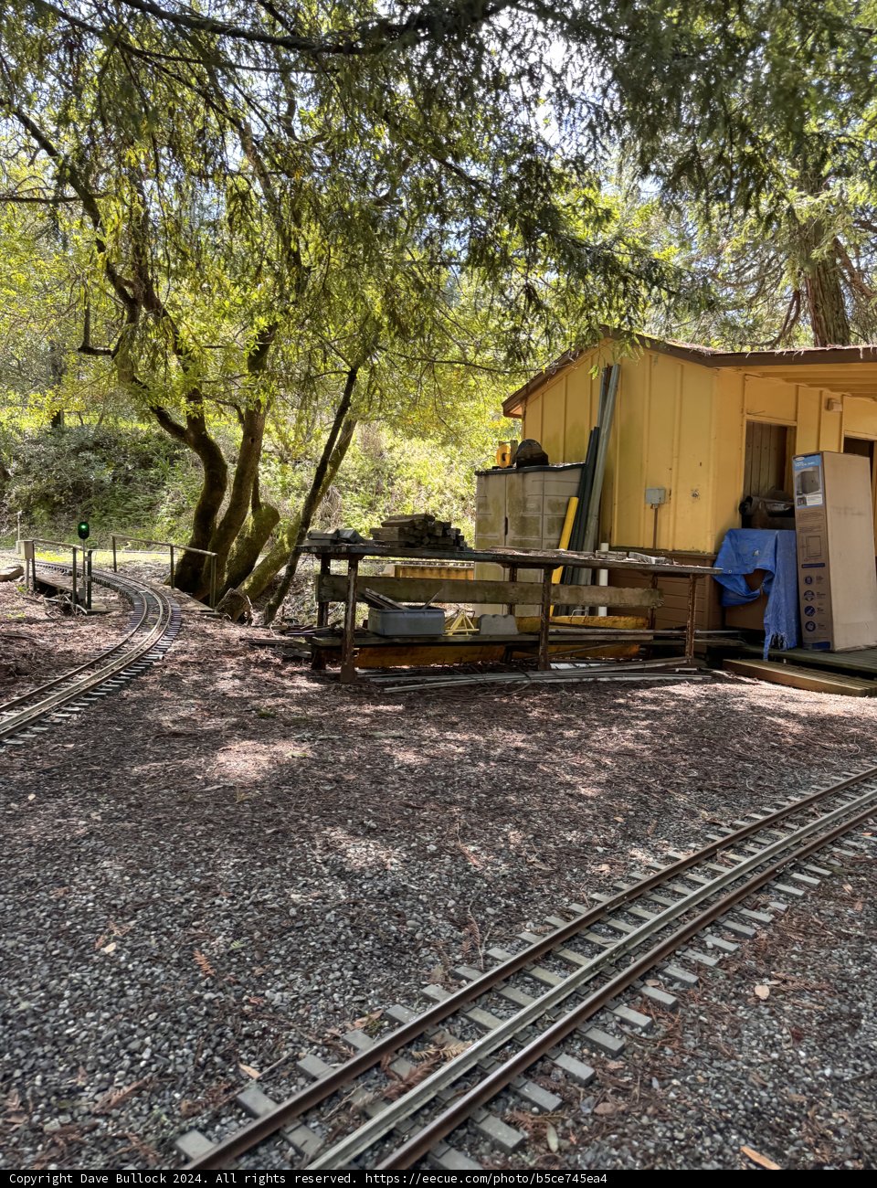 Tranquil Tracks in Tilden