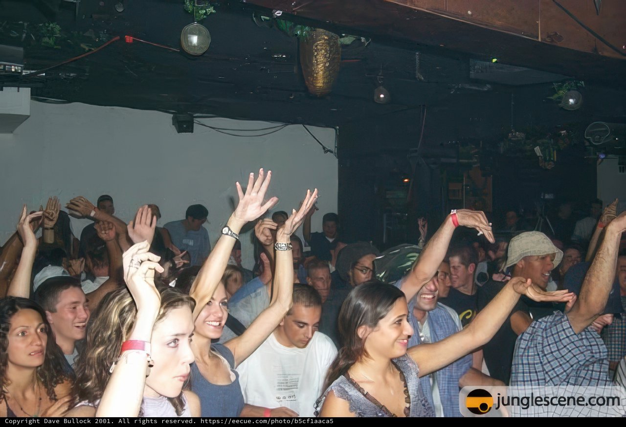 Night Clubbers with Hands Up