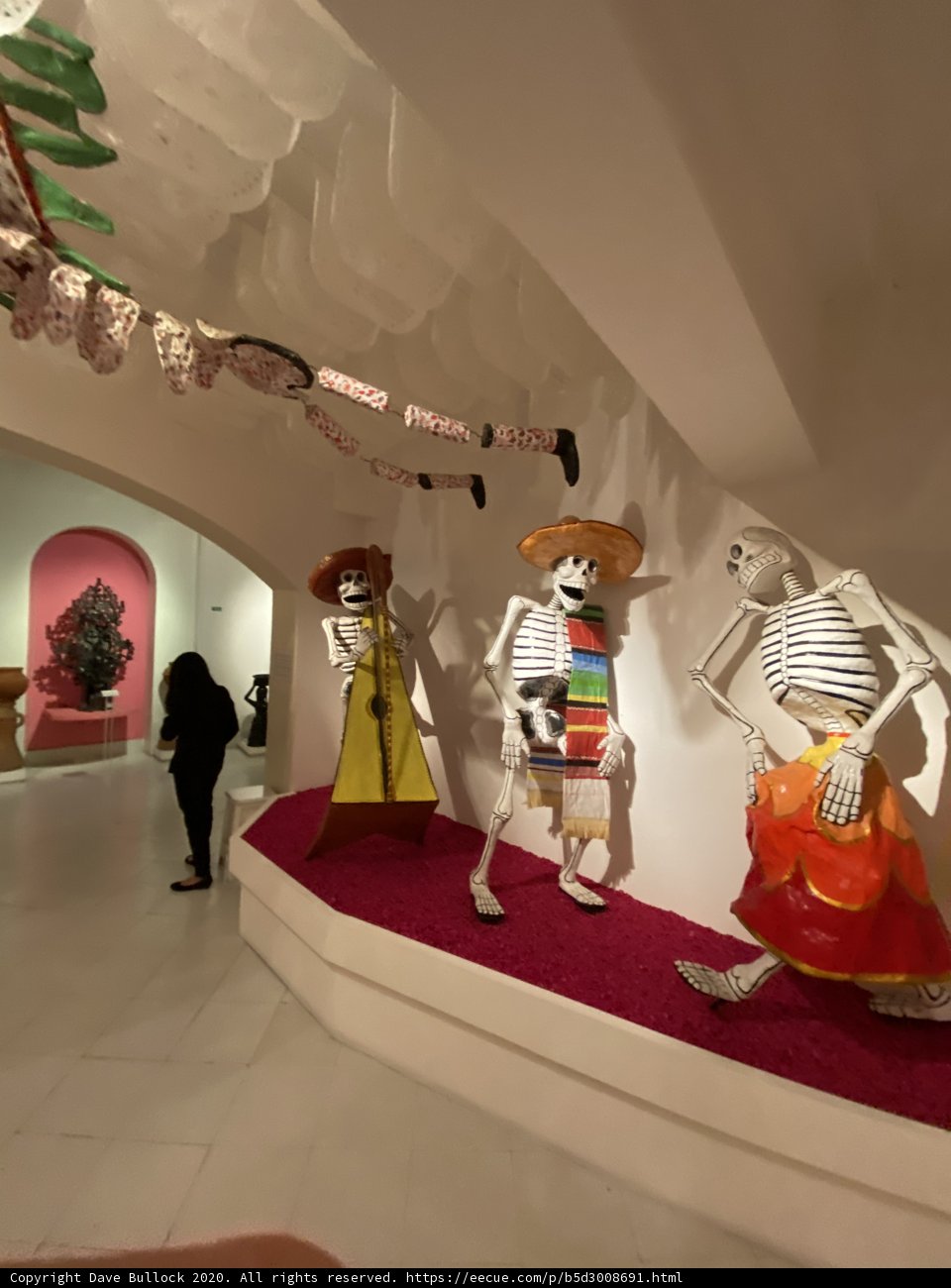 The Skeleton Gallery