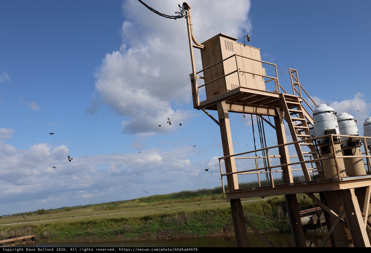 Elevated Monitoring Station in Wetland Grasslands at Dusk