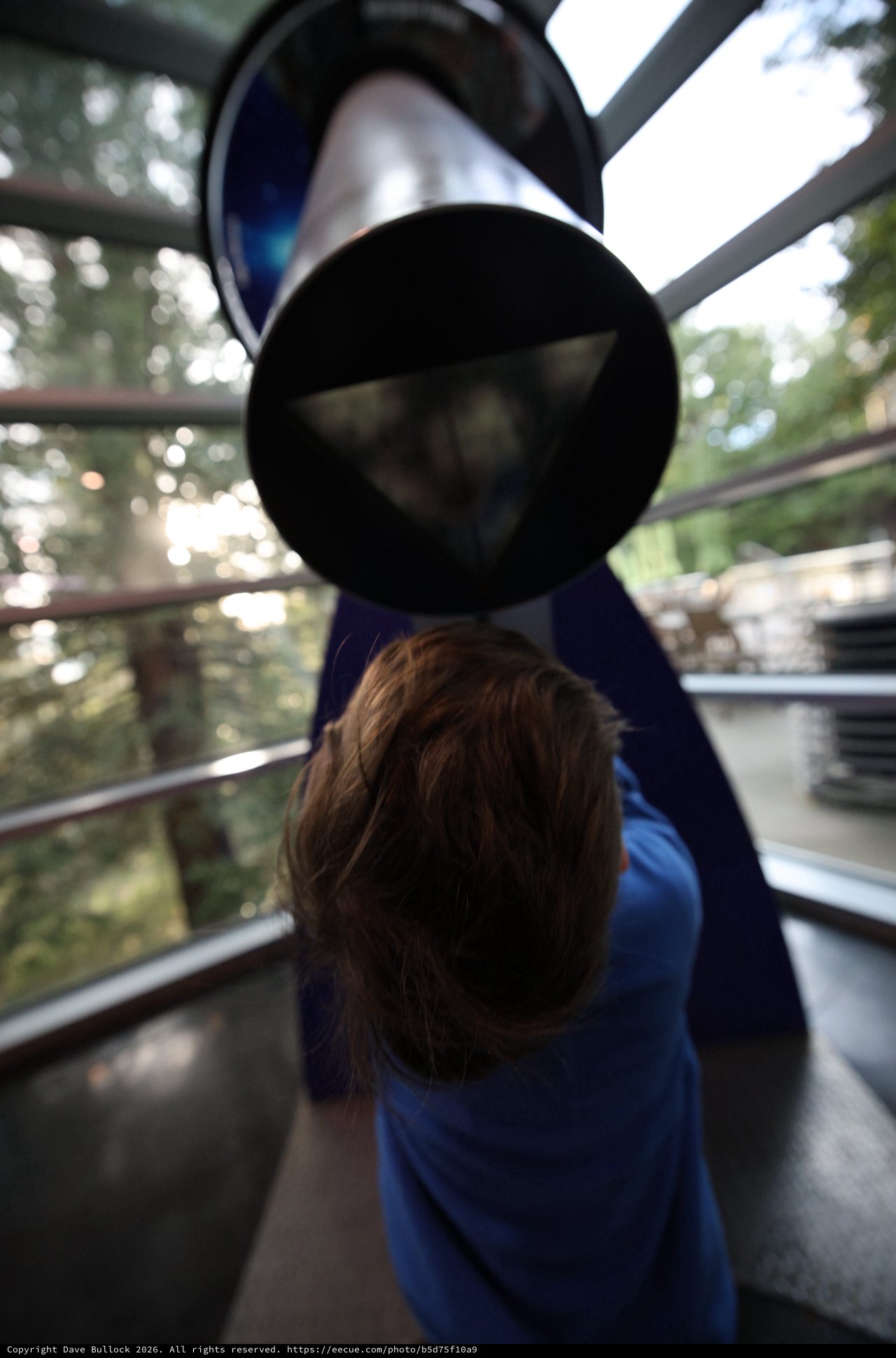 Child Observes from Cable Car Gondola Window