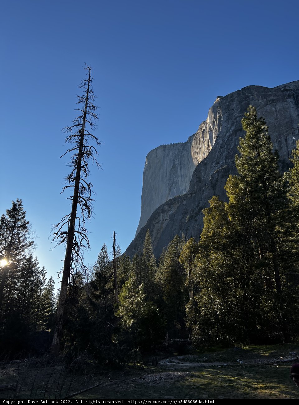 Half Dome basks in the sunny glory