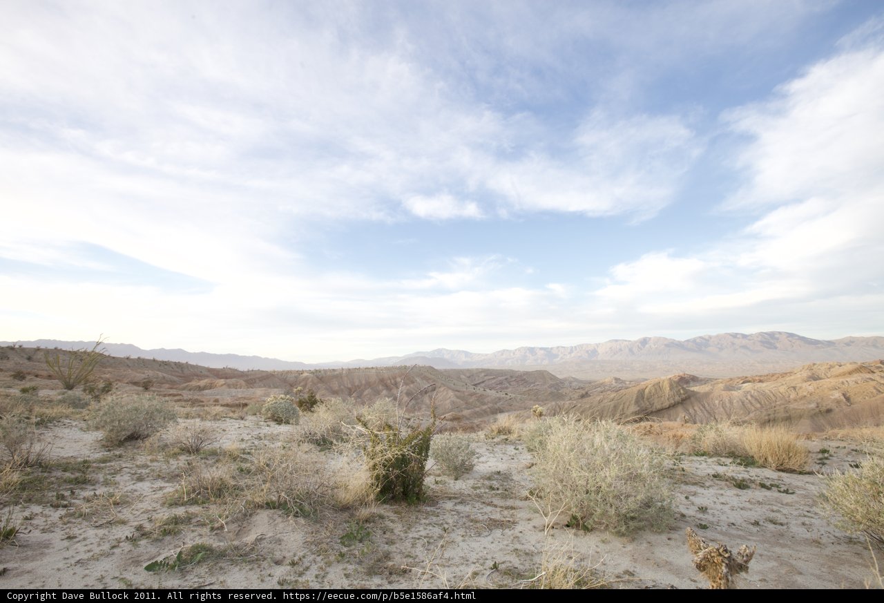 Overlooking the Vast Desert Landscape