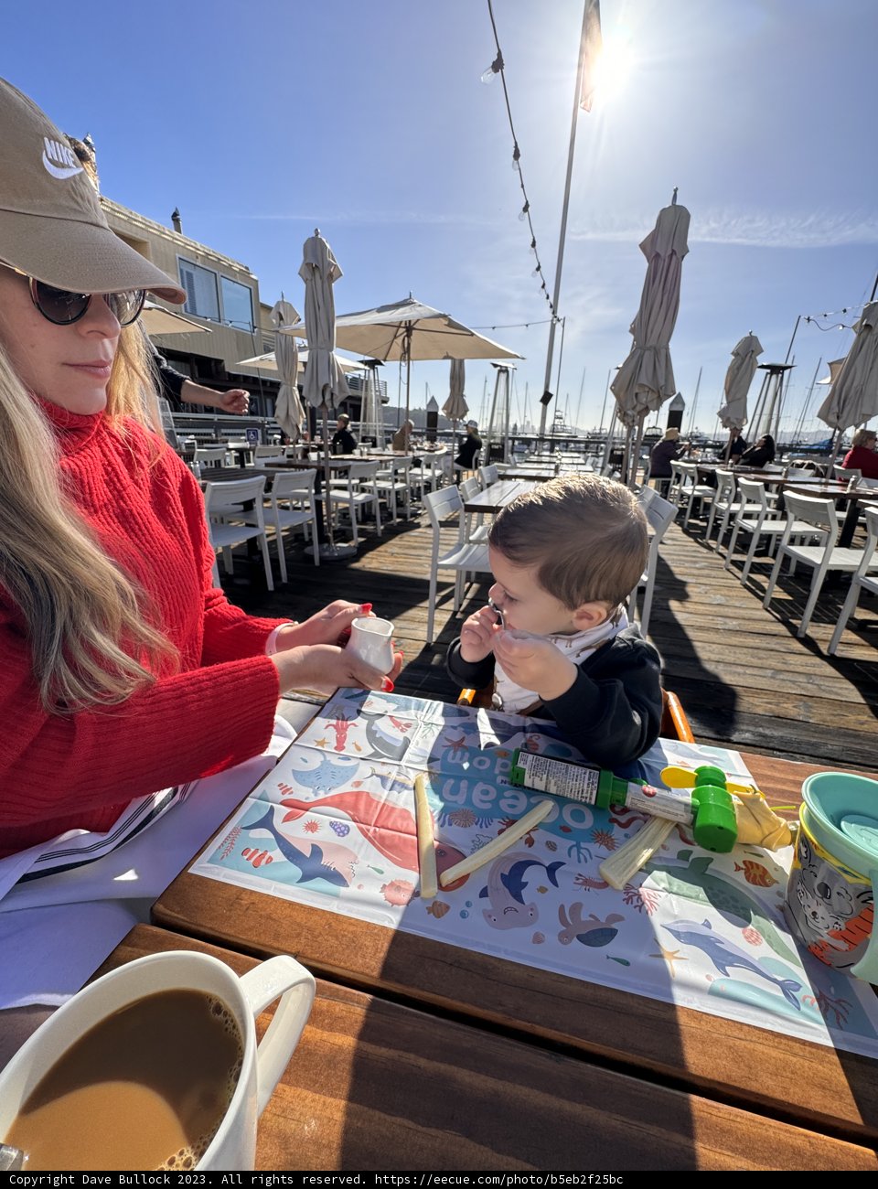 A Warm Interlude in Belvedere Tiburon