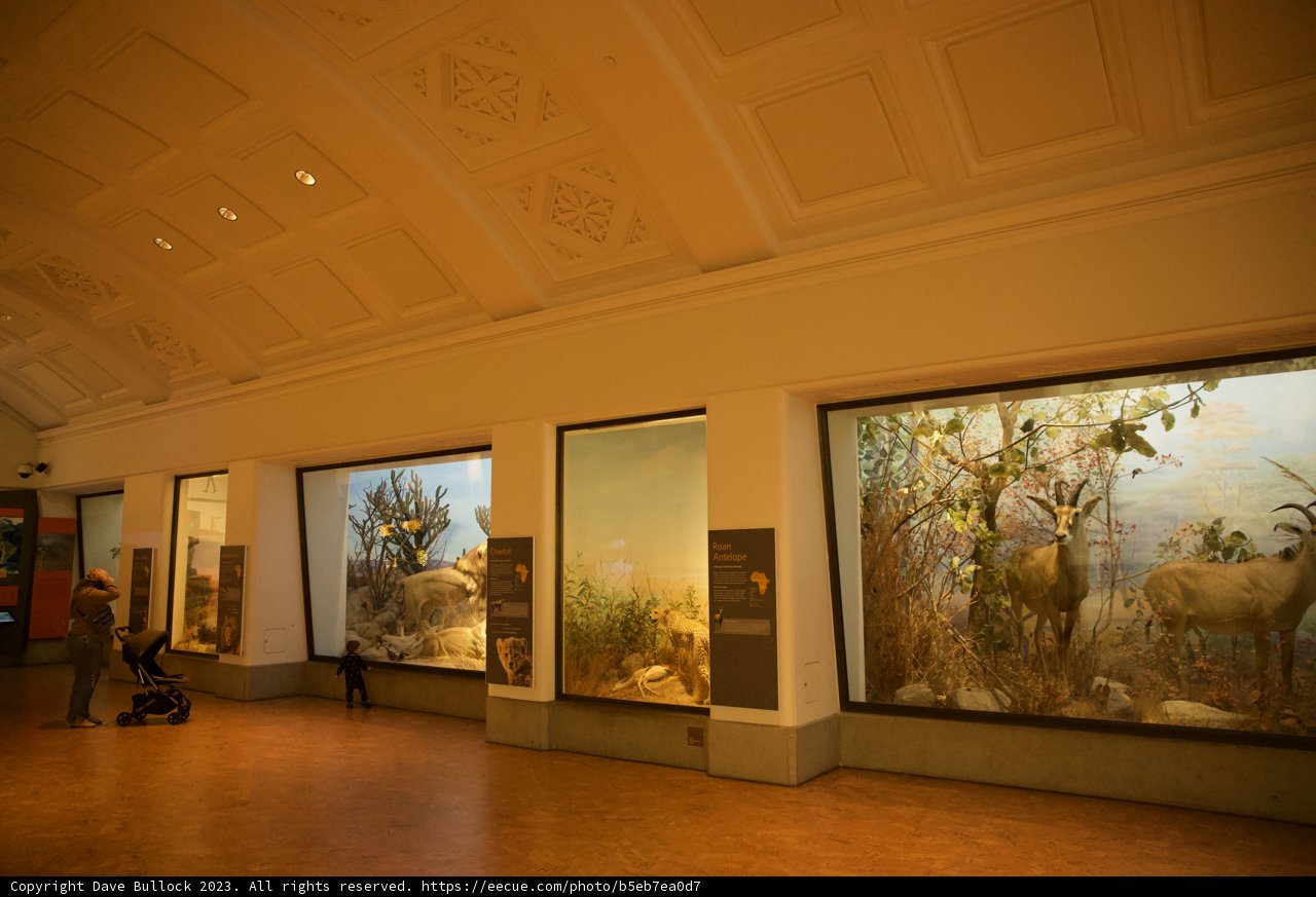 Nature's Artistry on Display at the Academy of Sciences