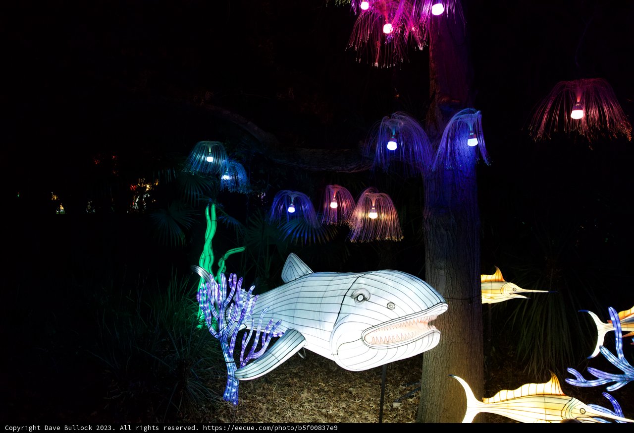 Shimmering Aquatic Wonderland at Glowfari Oakland Zoo 2023