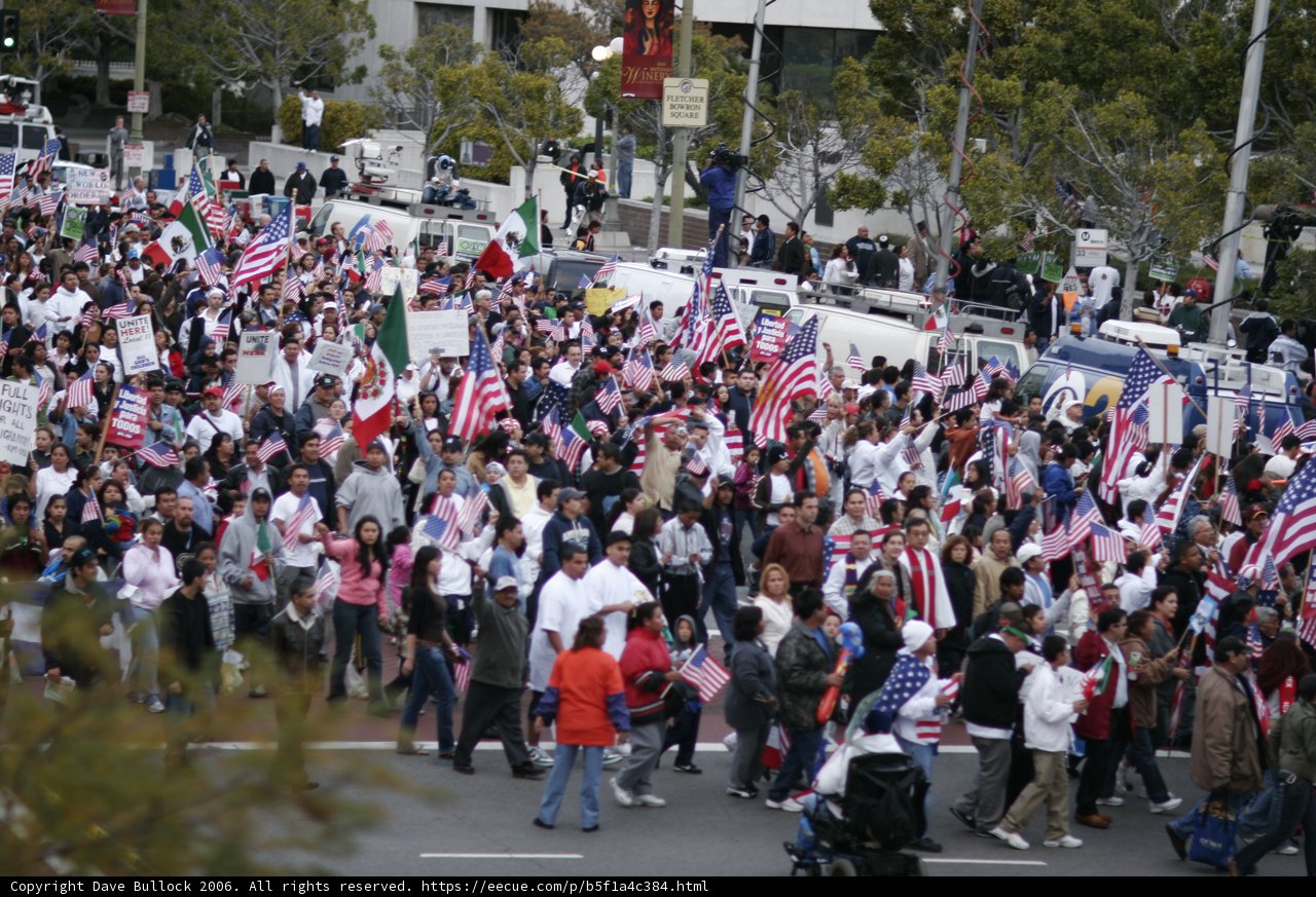 Patriotic Crowd