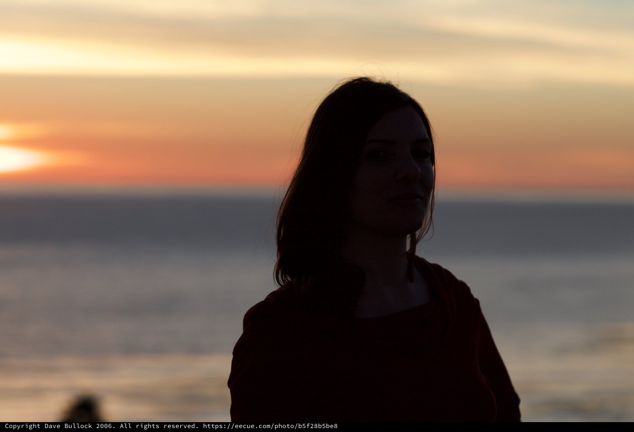 Silhouette of a Woman Against a Golden Sunset