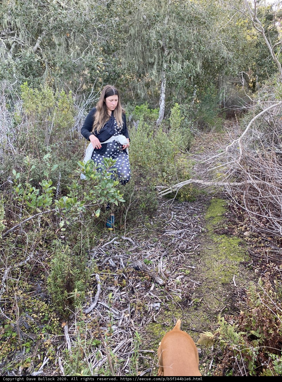 Walk with Nature