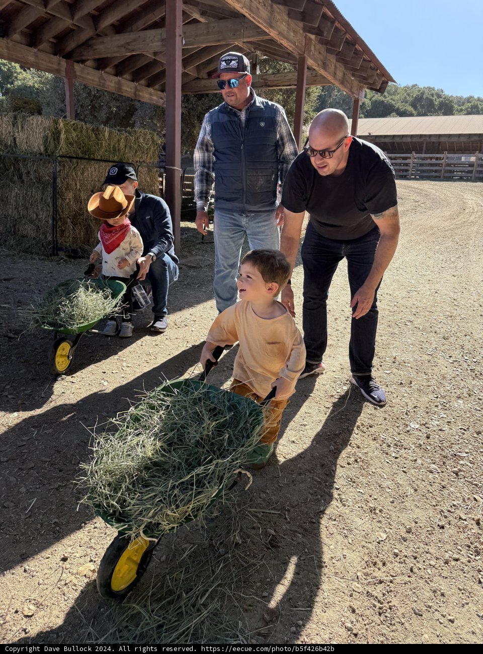 Country Fun in Carmel