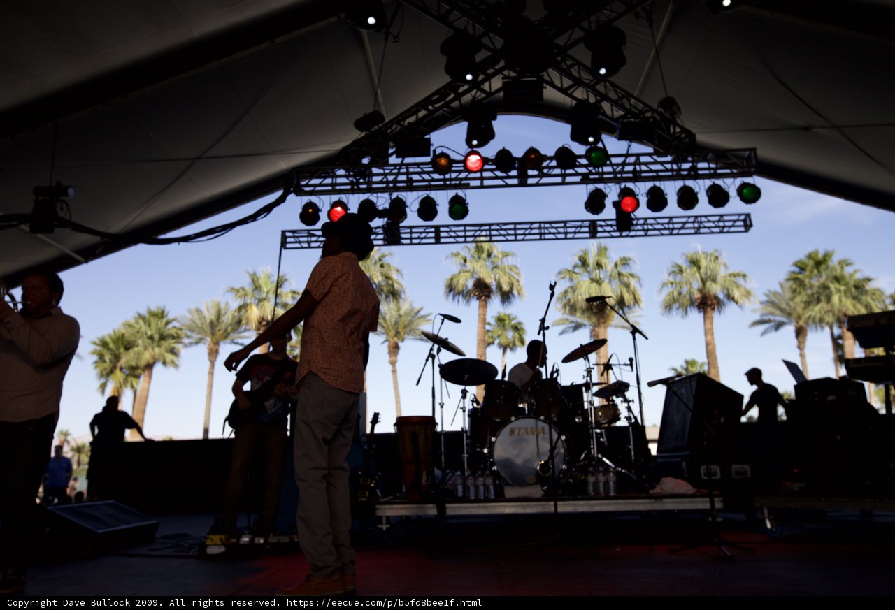 Palm Tree Performance