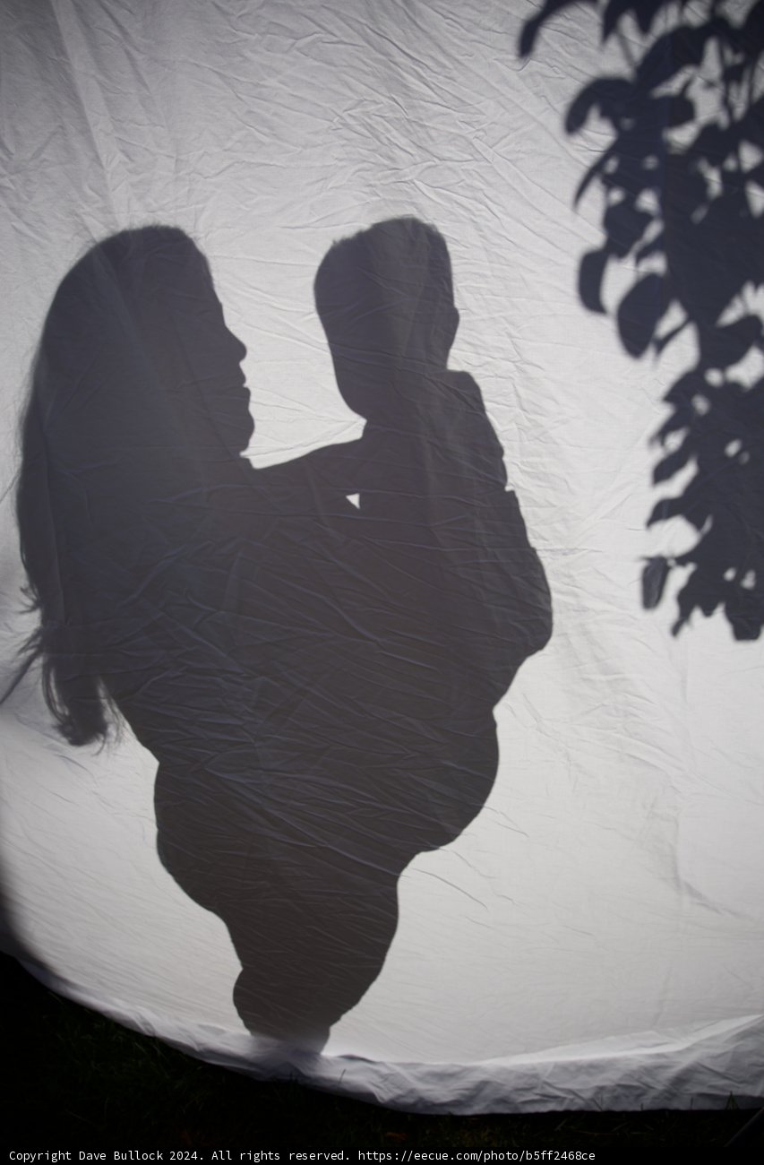 Shadows of New Beginnings