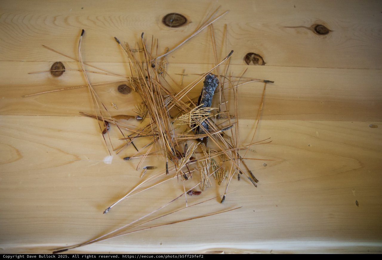 Aftermath of Nail Mishap on Wood Surface